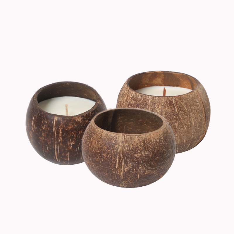 Coconut Candle Bowl Party Deco - Candle Making Homewood ulasan dan harga
