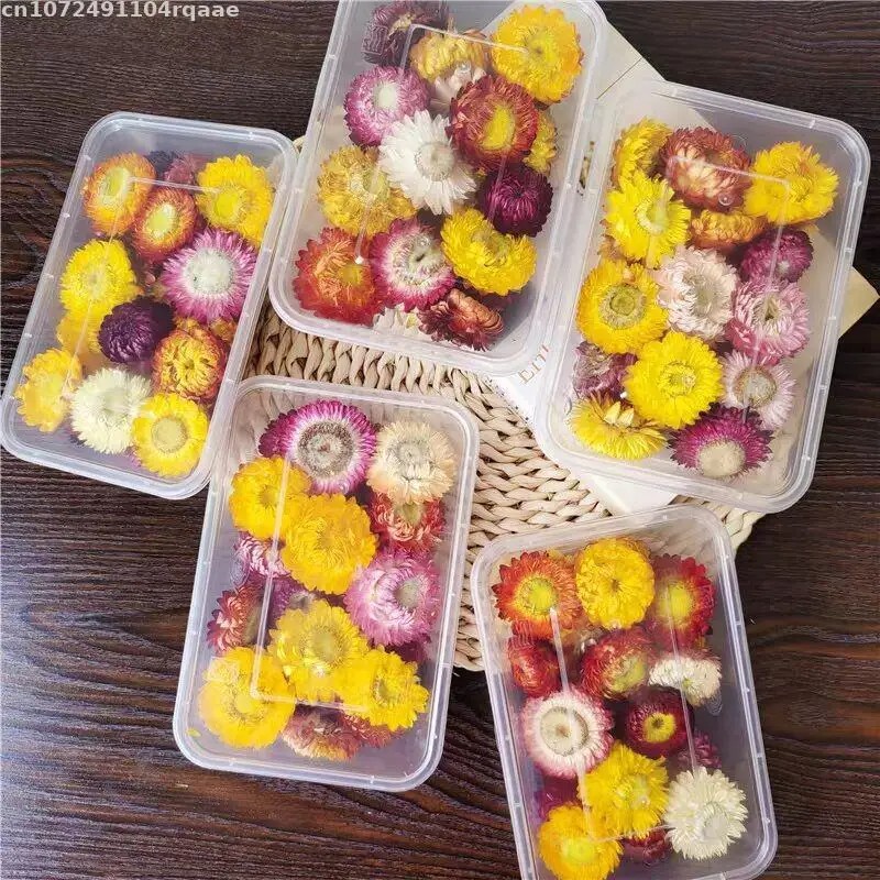 100% Natural Dried Flowers Bra - Candle Making Material Wholesale ulasan dan harga