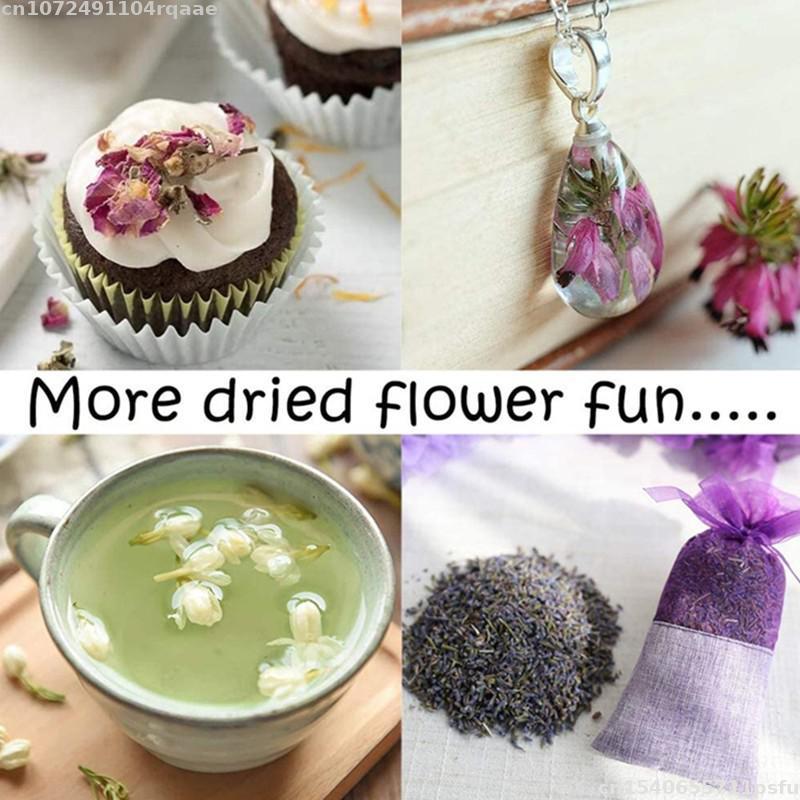 100% Natural Dried Flowers Bra - Candle Making Material Wholesale ulasan dan harga