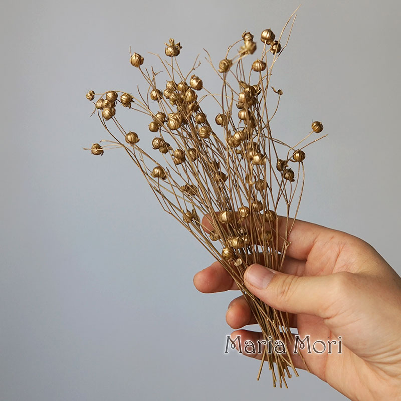 5g Preserved Flax Bean Natural - Candle Making Activity ulasan dan harga