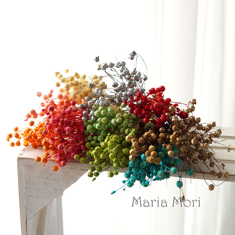 5g Preserved Flax Bean Natural - Candle Making Activity ulasan dan harga