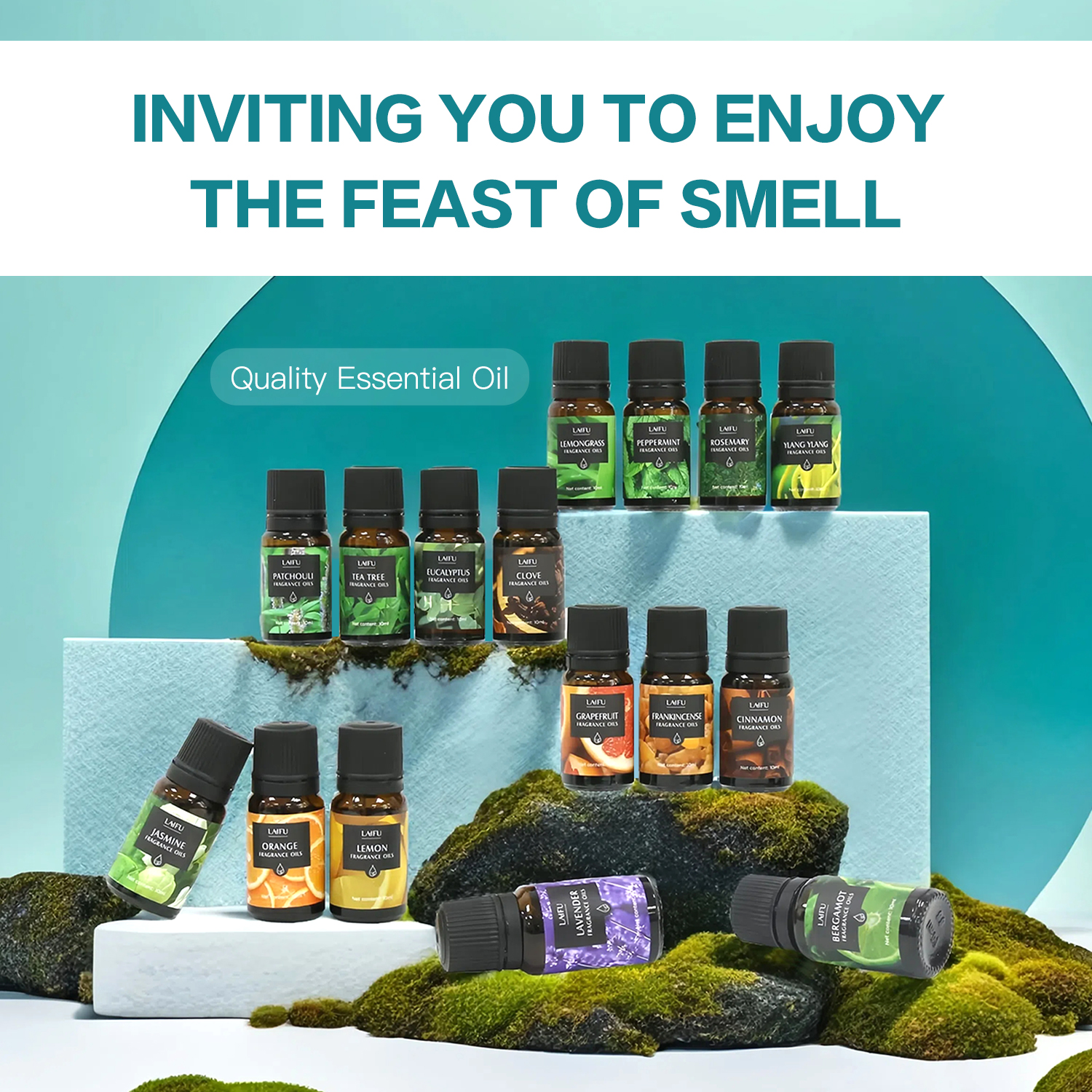16x10ml Essential Oils Set for - Candle Making Fragrances ulasan dan harga